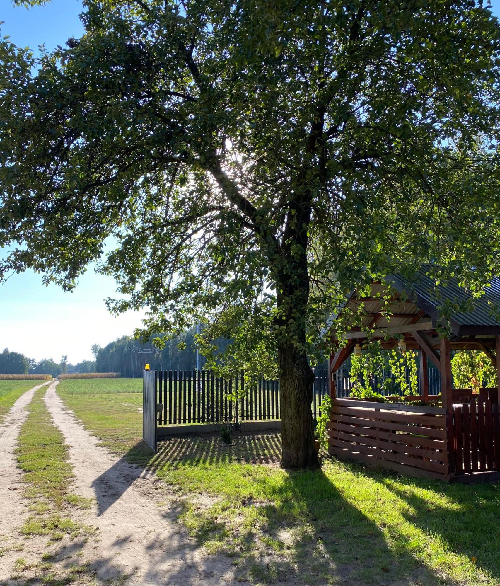 Maciejowka Gospodarstwo Agroturystyczne Poddebice Luaran gambar