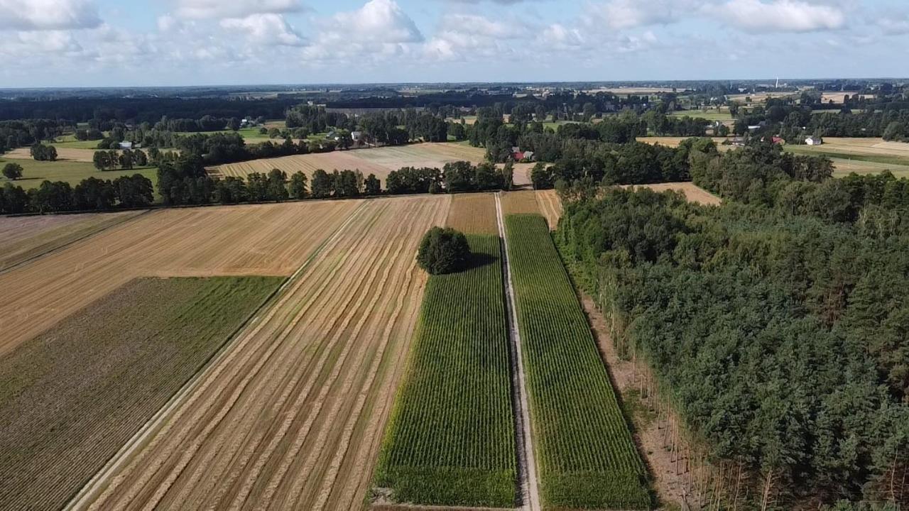 Maciejowka Gospodarstwo Agroturystyczne Poddebice Luaran gambar